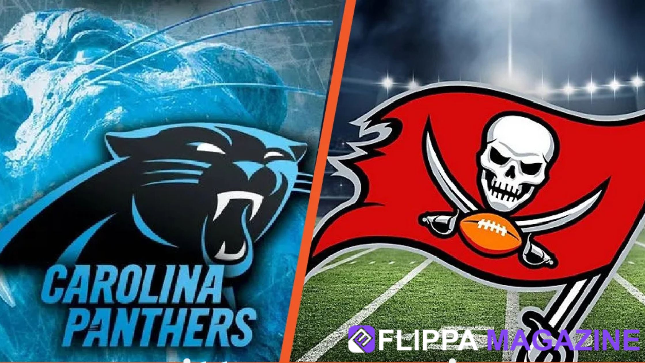 Carolina Panthers vs Tampa Bay Buccaneers Match Player Stats