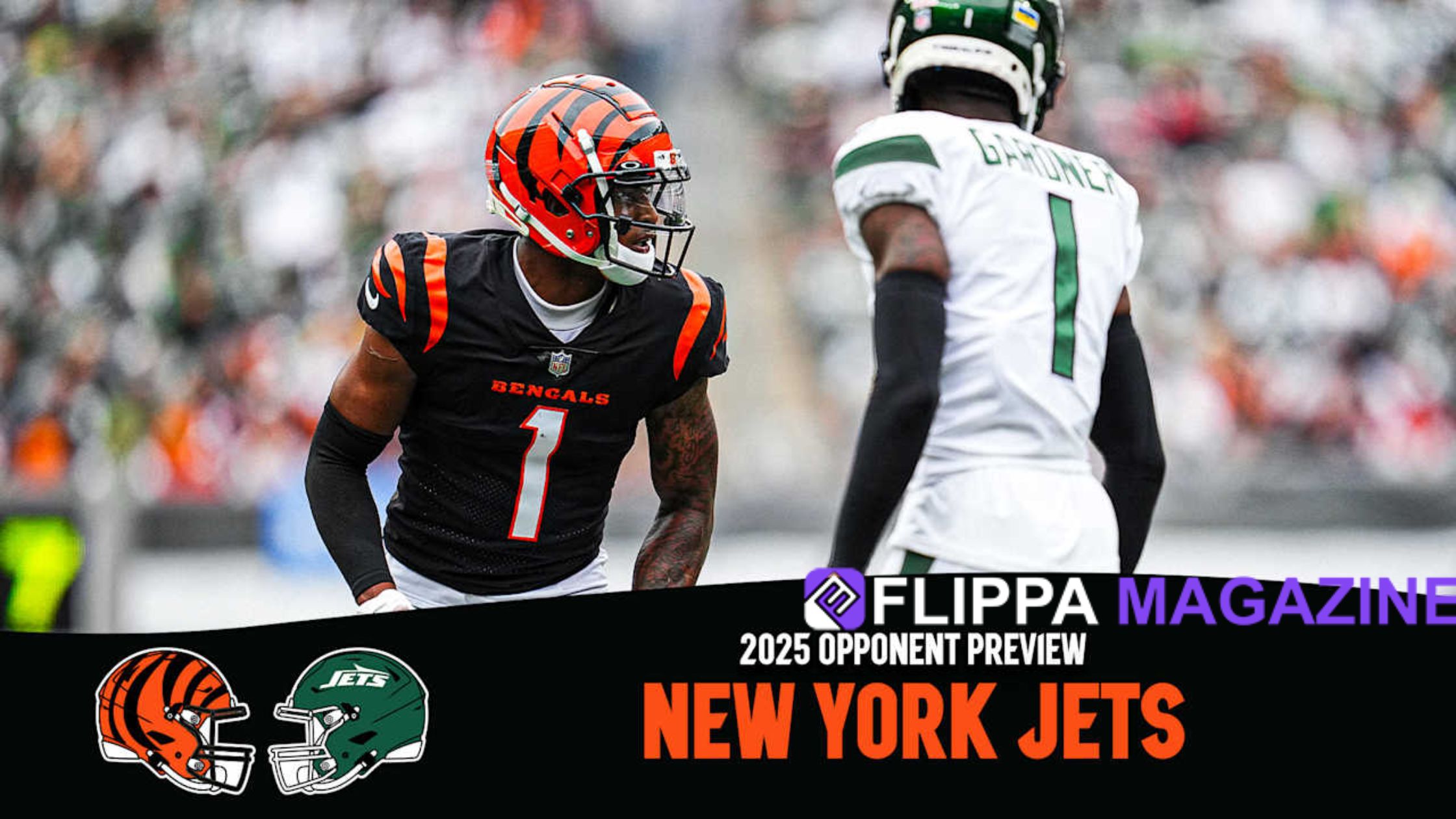 New York Jets vs Bengals Match Stats