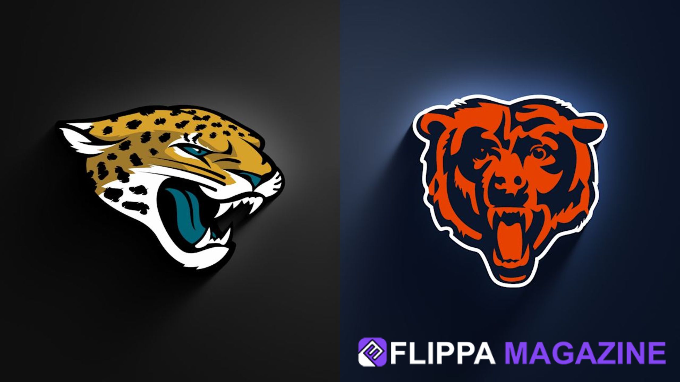 Jacksonville Jaguars vs Chicago Bears Match Player Stats