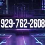 929-762-2608