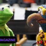 Muppet With Long Hooked Beak