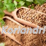 Koriandri