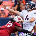 Arizona Cardinals vs Denver Broncos Match Player Stats