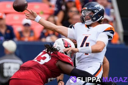 Arizona Cardinals vs Denver Broncos Match Player Stats