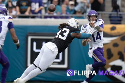 Minnesota Vikings vs Jacksonville Jaguars Match Player Stats