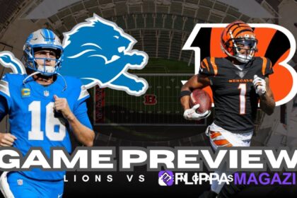 Detroit Lions vs Bengals Match Player Stats