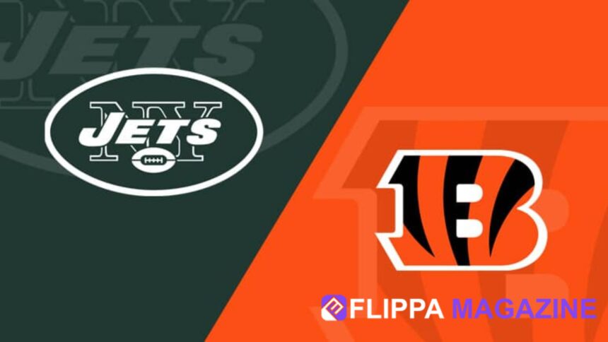 New York Jets vs Bengals Match Stats