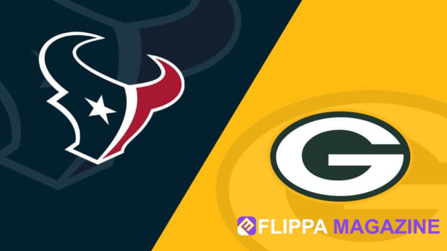 Houston Texans vs Green Bay Packers Match Player Stats