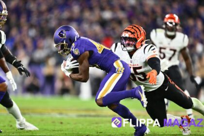 Baltimore Ravens vs Bengals Match Player Stats