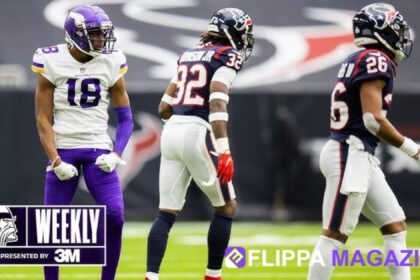 Houston Texans vs Minnesota Vikings Match Player Stats
