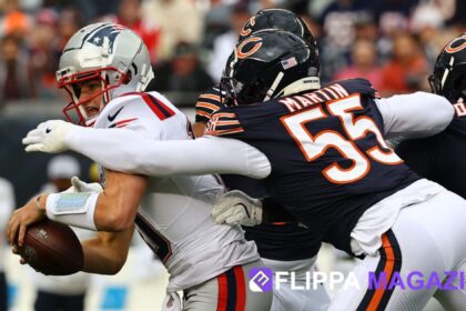 New England Patriots vs Chicago Bears Match Player Stats