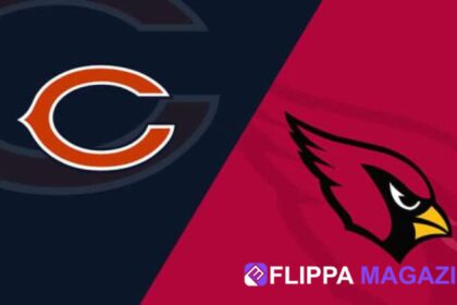 Chicago Bears vs Arizona Cardinals Match Player Stats