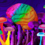 Psilocybin Contraindications