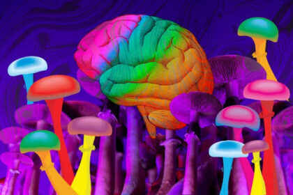 Psilocybin Contraindications